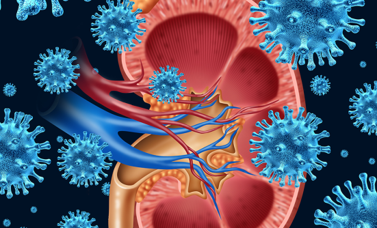 What You Need to Know About Kidney Cancer