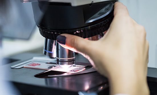 What You Need to Know About Leukemia