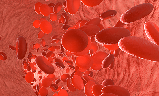 Patient Advocacy in Support of James Bond’s Fight to Conquer Multiple Myeloma