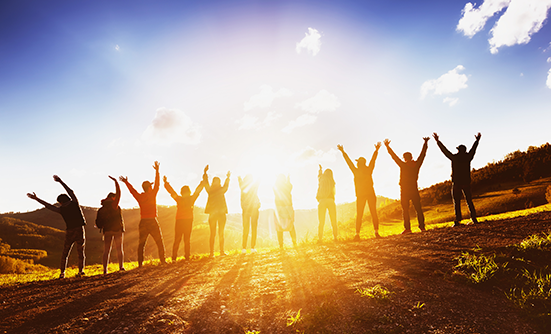 The Many Wonders of Transplant