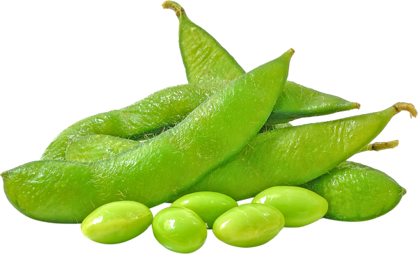 Soy beans