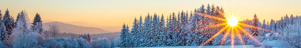 Sunny Snowy Landscape