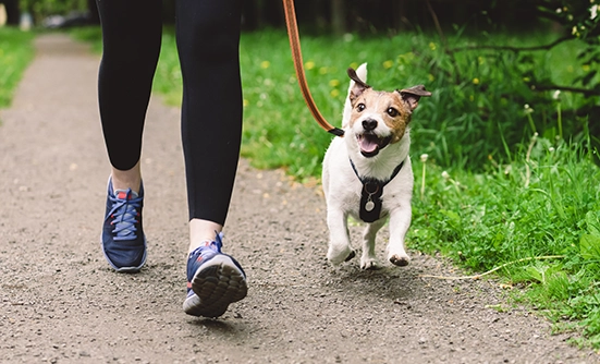 Health Benefits of Green Space