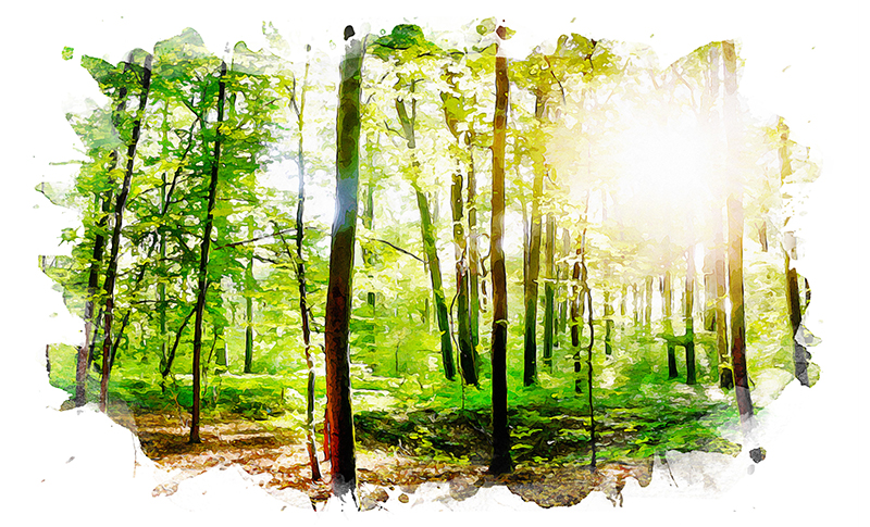 The Transformative Nature of Cancer