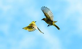 Cancer Changed My Perspective